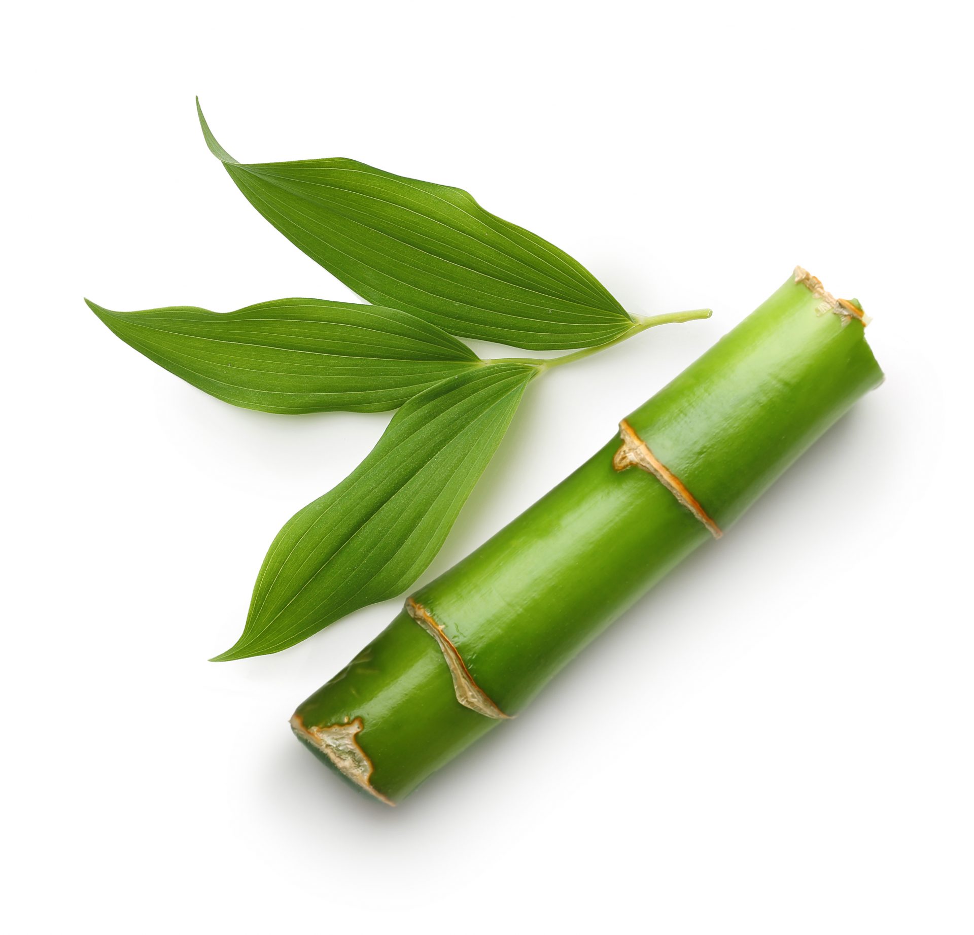 Panda Massage St.Gallen